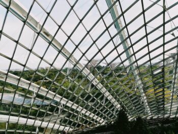 Photo of a Metal Greenhouse