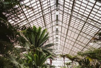 Photo of a Metal Greenhouse