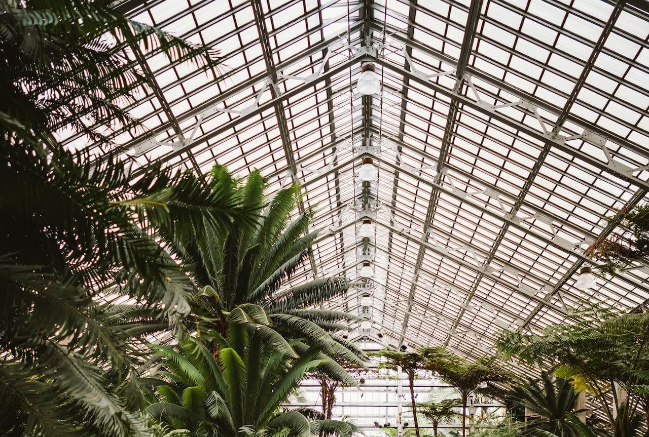 Photo of a Metal Greenhouse