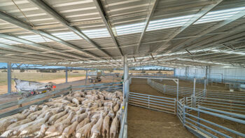 Photo of Livestock Barns