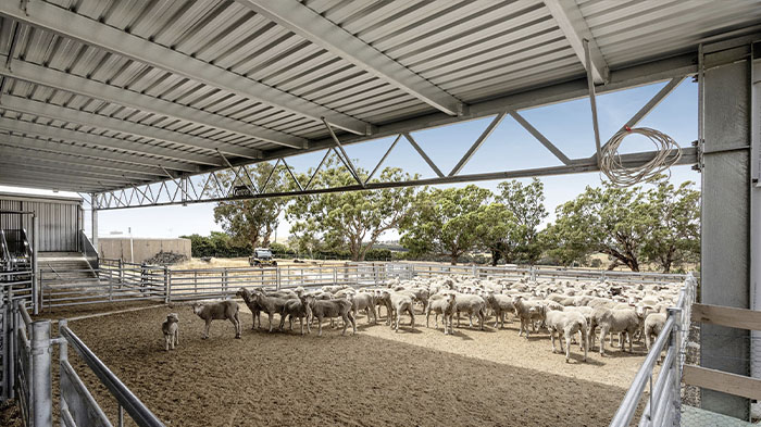 Photo of Livestock Barns