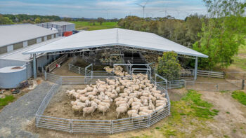 Photo of Livestock Barns