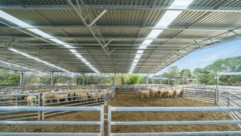 Photo of Livestock Barns