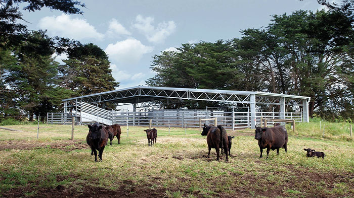 Photo of Livestock Barns