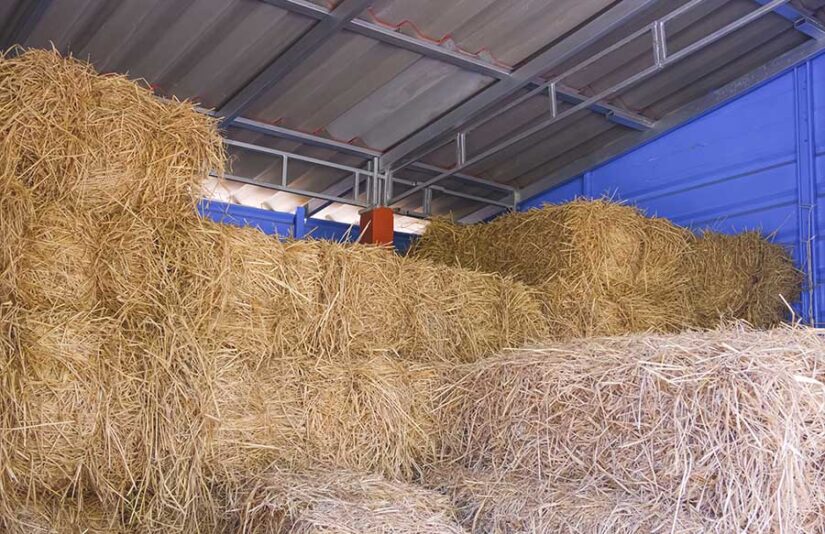 Long-Term Value That Pays You Back