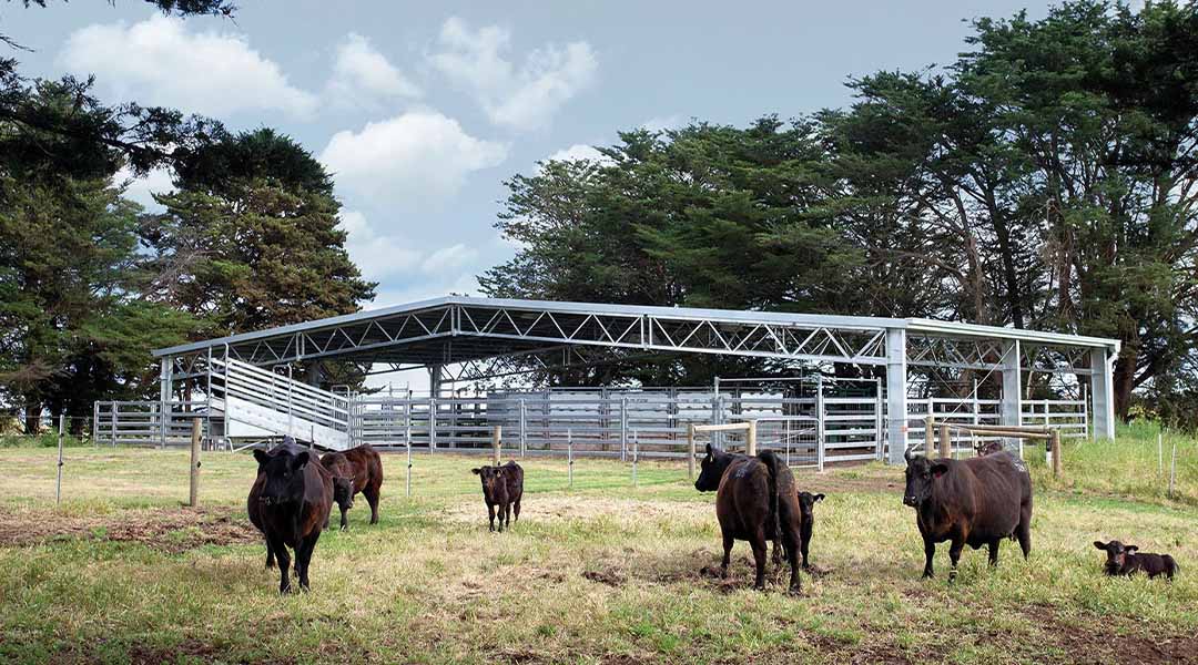 30x40 Metal Livestock Barn