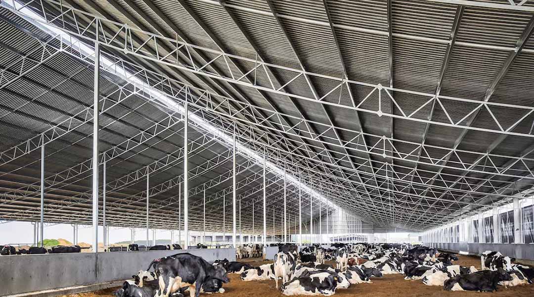 40x60 Metal Livestock Barn