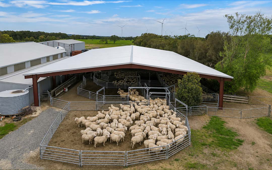 50x70 Metal Livestock Barn