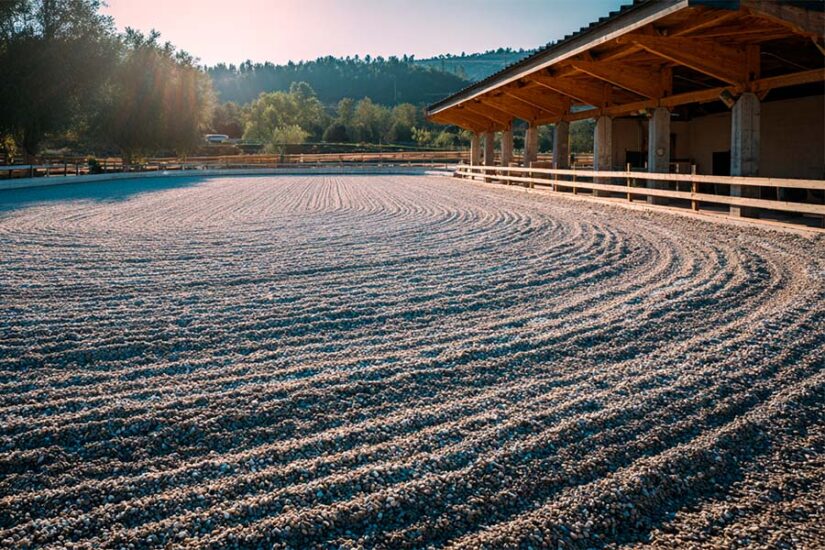 Horse Arena Footing: Best Picks by Discipline